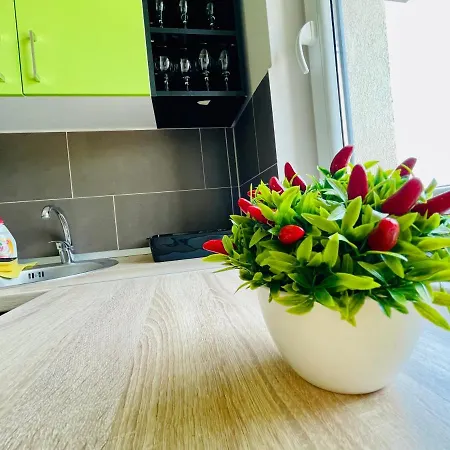Apartment Aventurescu Coresi